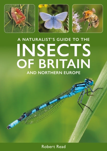 A Naturalist'S Guide To The Insects Of Britain And Northern