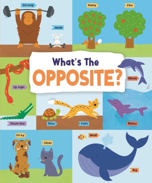 What's The Opposite?Big And Small High And Low And Many Mor
