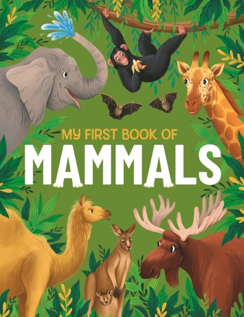 My First Book of Mammalsan Illustrated First Look At Mammals