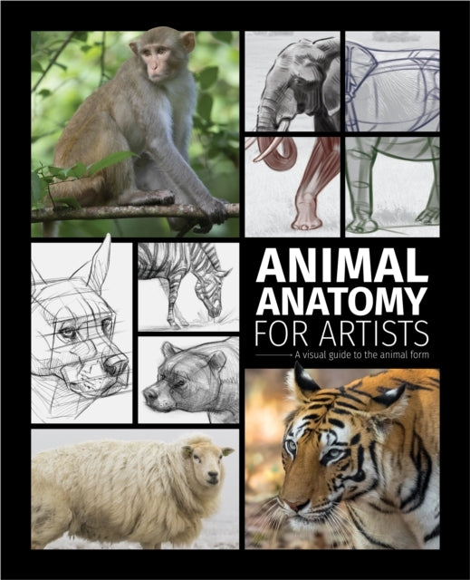 Animal Anatomy For Artistsa Visual Guide To The Form Of Mamm