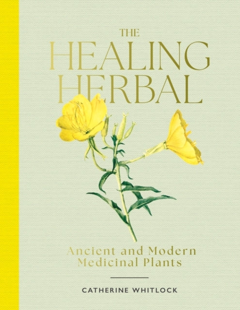 The Healing Herbalancient And Modern Medicinal Plants