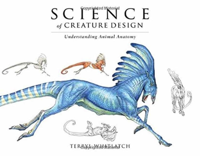 UNDERSTANDING ANIMAL ANATOMY