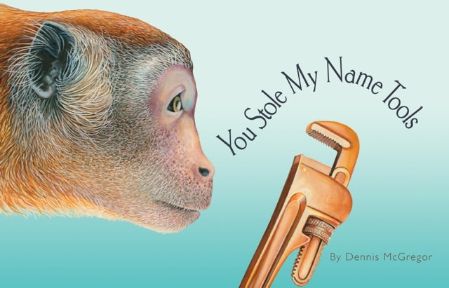 You Stole My Name Toolsthe Curious Case Of Animals And Tools