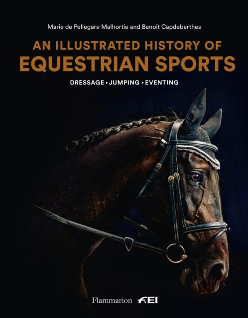 An Illustrated History of Equestrian Sportsdressage Jumping