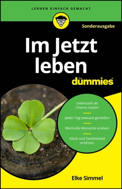 Im Jetzt Leben Fur Dummies Sonderausgabe