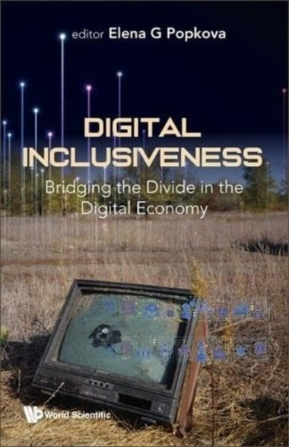 Digital Inclusiveness Bridging The Divide In The Digital Ec