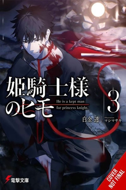 The Kept Man of The Princess Knight Vol. 3