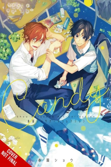 Candy Shou Harusono Art Collection