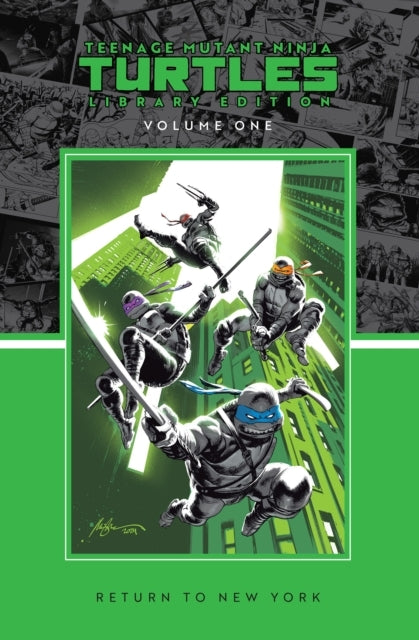 Teenage Mutant Ninja Turtles, Vol. 1: Return to New York Lib