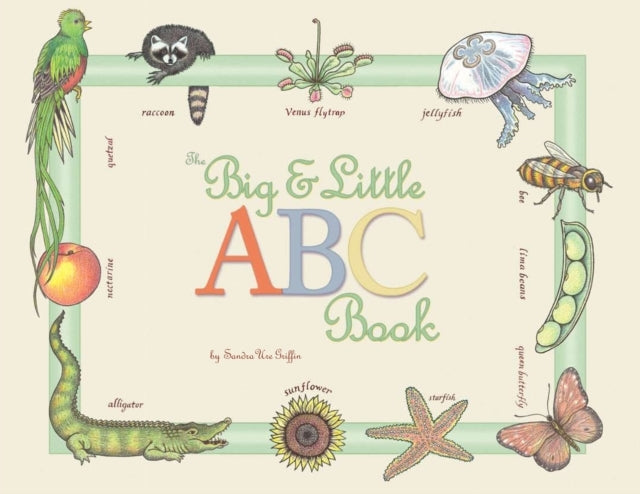 The Big And Little Abc